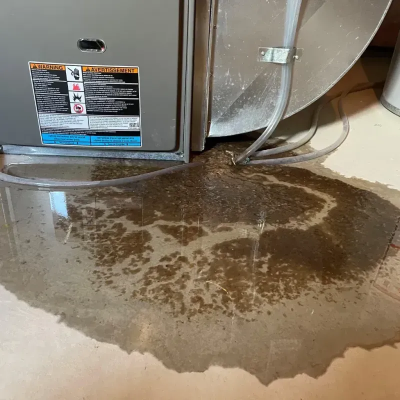 Appliance Leak Cleanup in Waterloo, IN